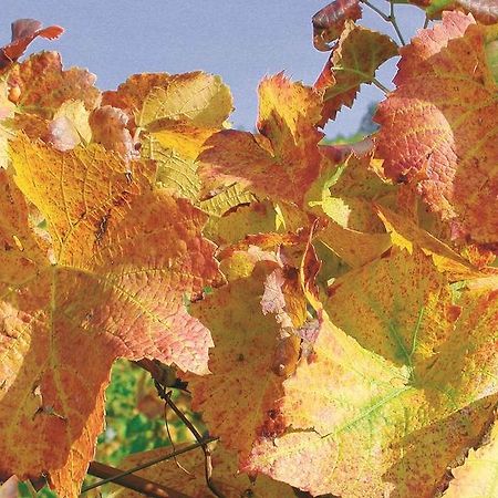 Weingut Alfred Huber Apartment Durbach Bagian luar foto