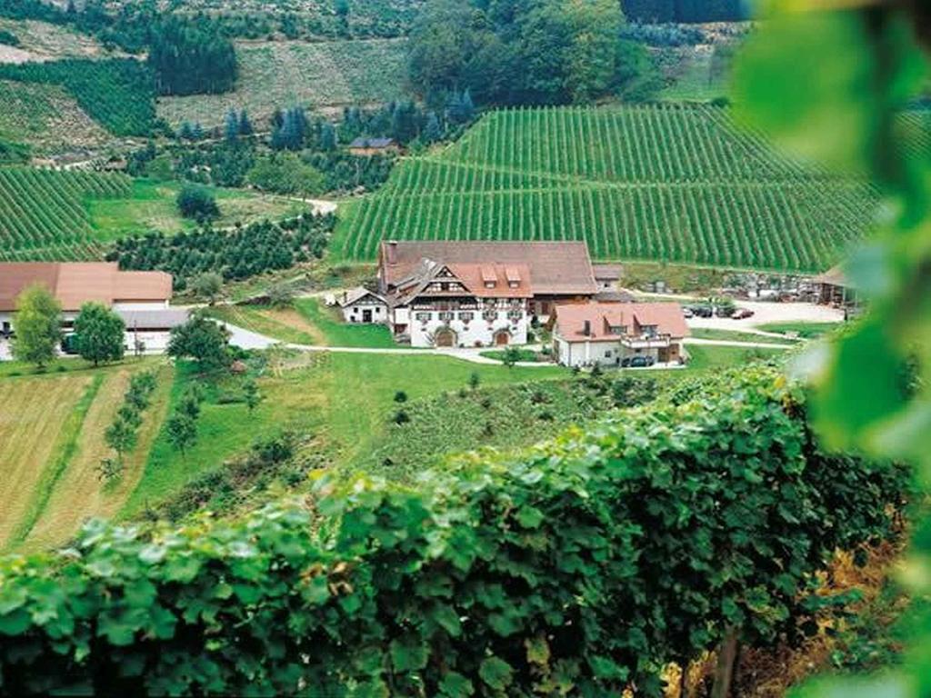 Weingut Alfred Huber Apartment Durbach Bagian luar foto
