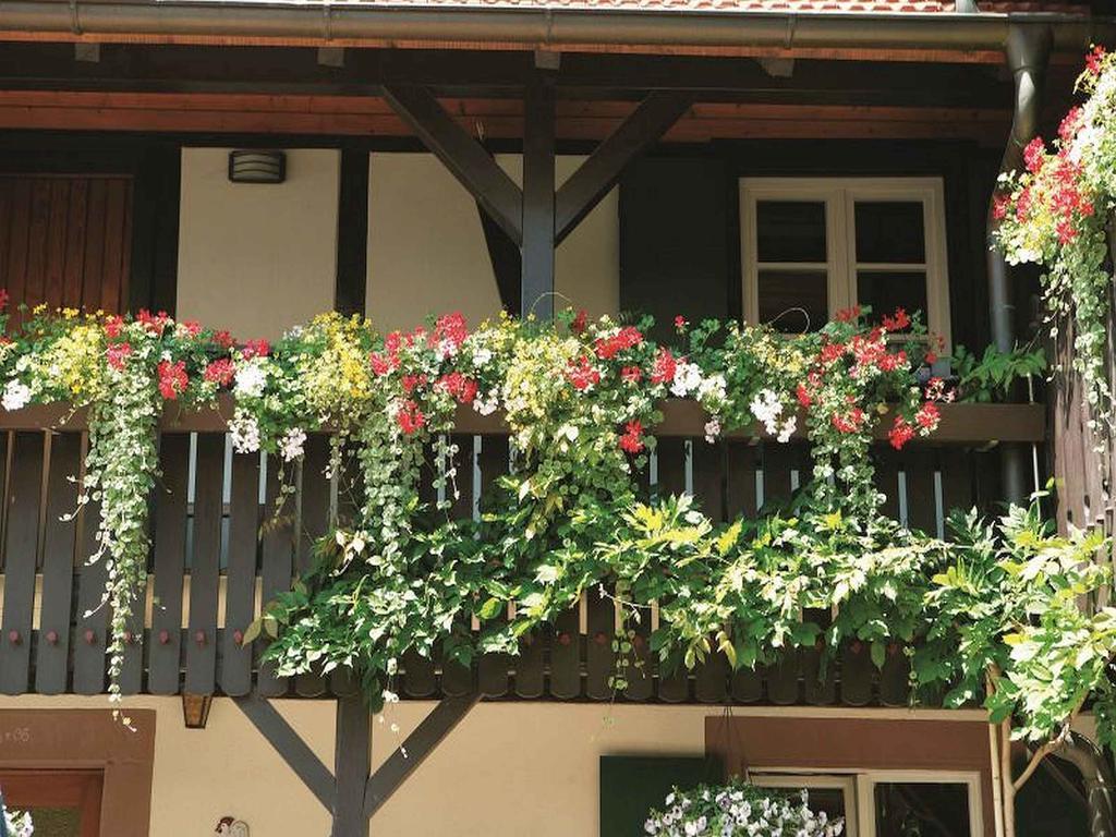 Weingut Alfred Huber Apartment Durbach Bagian luar foto